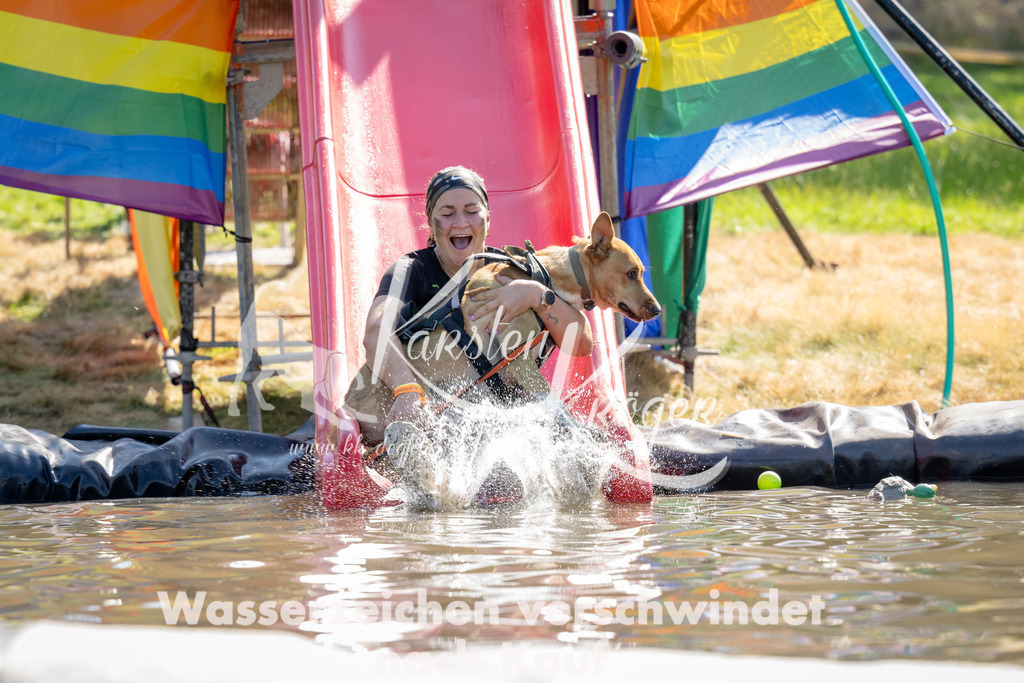 1450_ZZ91565 | kk-dogfotos