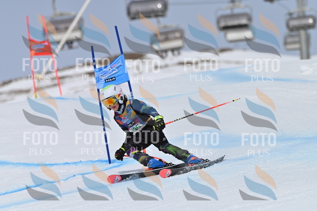 BGV_3753 | holidayphoto