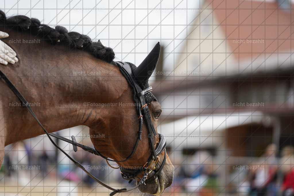 20240825-FAH00363 | Turnierbilder, Reitsportfotos, LAPO, Landesponyturnier, Turnierfotografen Bayern