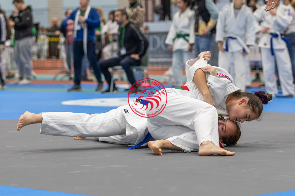 Internationaler Adler Cup 2024 | Foto vom Internationalen Adler Cup Judo Turnier im Sport- und Freizeitzentrum Kalbach im Oktober 2024 - Realisiert mit Pictrs.com