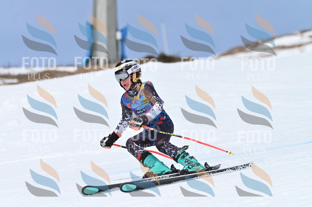 BGV_2932 | holidayphoto