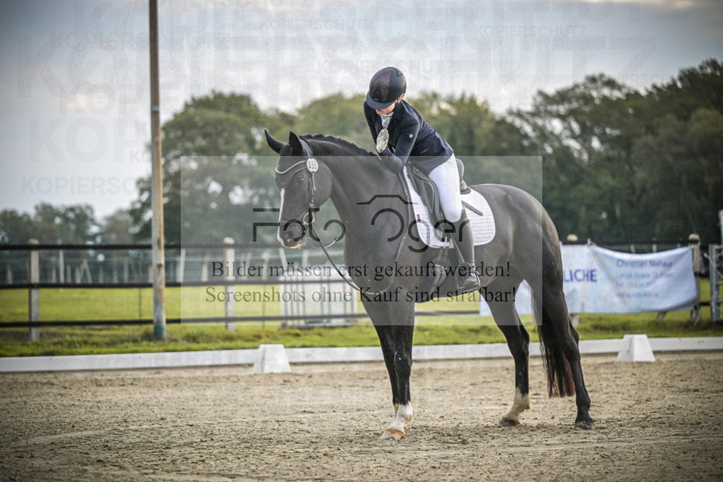 DOS_2820 | Entdecke hochwertige Reitturnierfotos von Foto Oger. Professionell, emotional und authentisch – jetzt Lieblingsmomente im Shop bestellen.Deutschlandweite Turnierfotografie. - Realisiert mit Pictrs.com