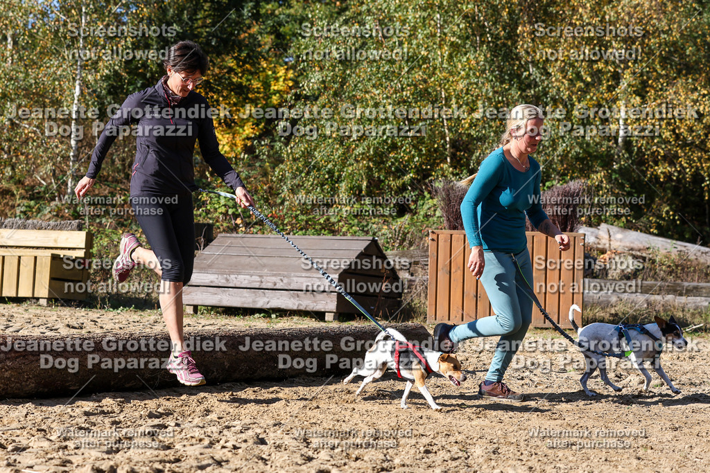 Dog Paparazzi - Strongdog 10-25-4689 | Dog Paparazzi Jeanette Grottendiek Fotografie & Videografie - Realisiert mit Pictrs.com