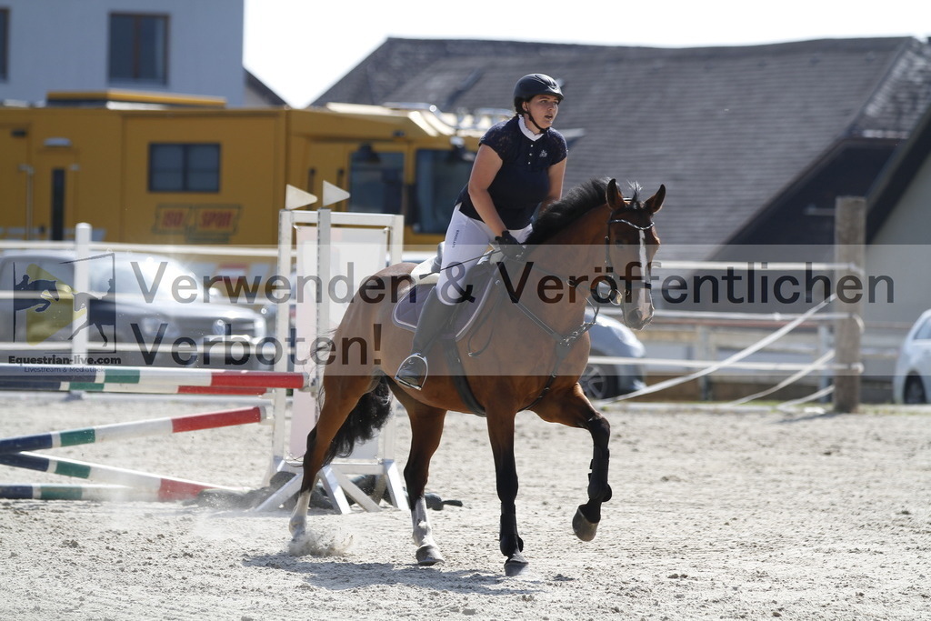 _MG_3535 | equestrian-live-com