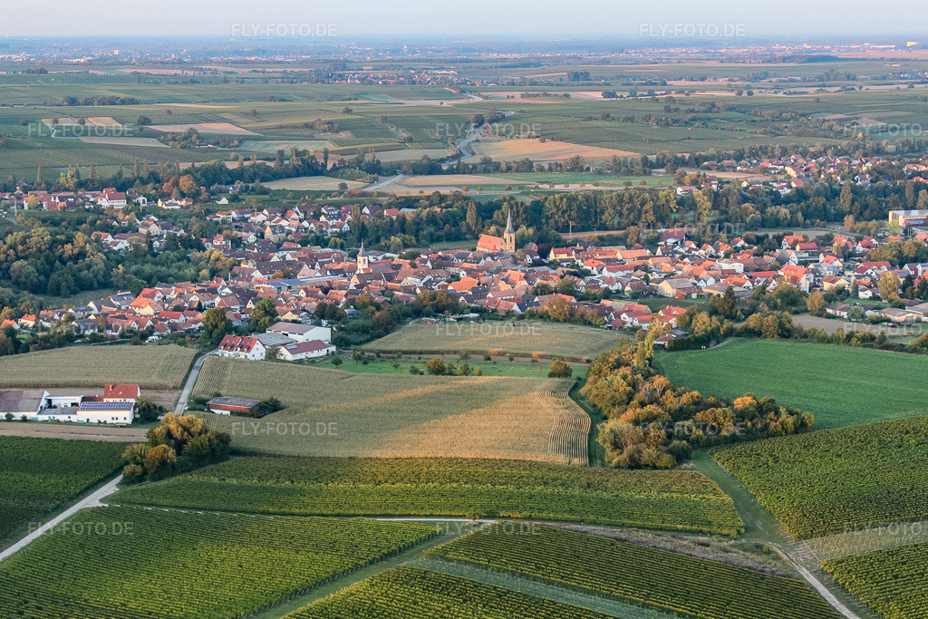 Luftbild: Ortsansicht von Süden im Ortsteil Ingenheim in Billigheim-Ingenheim im Bundesland Rheinland-Pfalz in Deutschland. Foto: IMG_21293.jpg vom 23.09.2009 durch Werner Riehm/FLY-FOTO.de