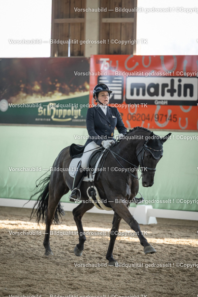 _D5A0557 | Emotionale Pferde- & People-Fotografie rund um Heidelberg, Leimen & Umgebung. Natürliche Fotos von Pferd, Mensch & Familie. Jetzt Termin sichern!