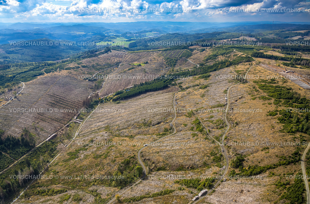 Bestwig220902015 | Luftbild, Waldschäden, Waldsterben, Nuttlar, Bestwig, Ruhrgebiet, Nordrhein-Westfalen, Deutschland