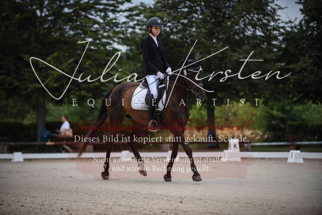 DSC_7906 | Pferde- und Turnierfotografie in Westsachsen. Pferdeportraits, Auftragszeichnungen und intuitive Kunst.