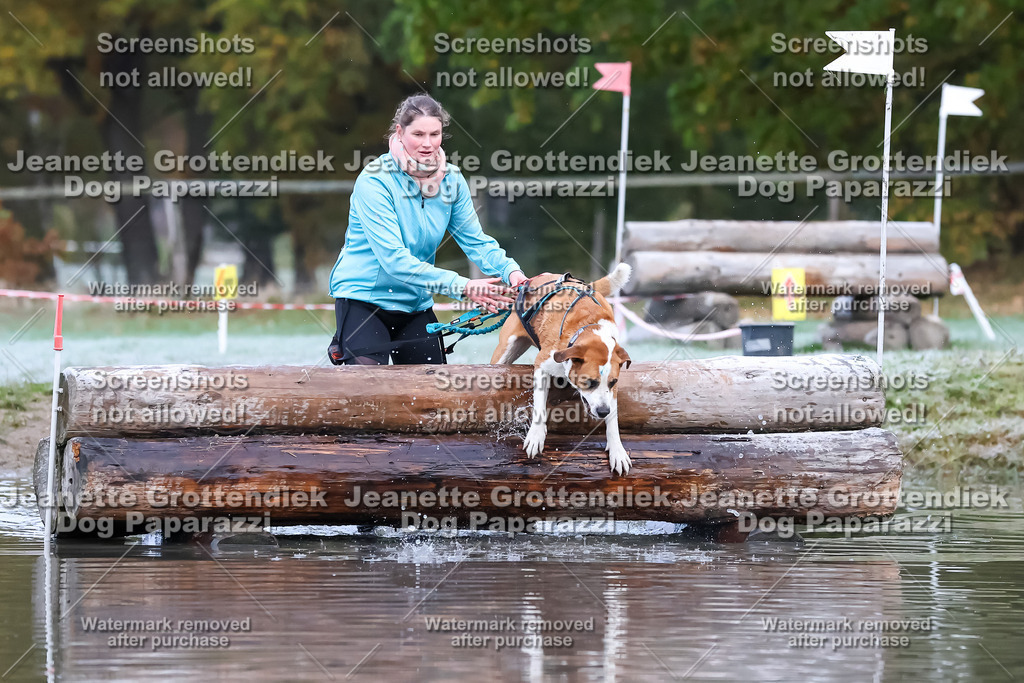 Dog Paparazzi - Strongdog 10-25-6122 | Dog Paparazzi Jeanette Grottendiek Fotografie & Videografie - Realisiert mit Pictrs.com