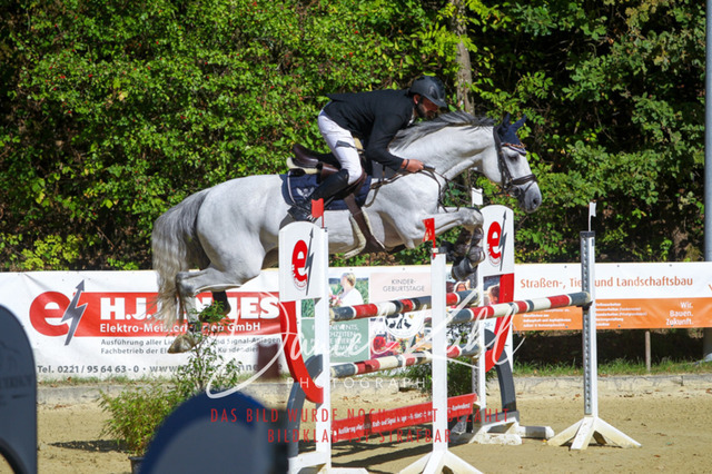 DKP43357 | Turniersportfotografie; Pferdefotografie; Dressurfotografie