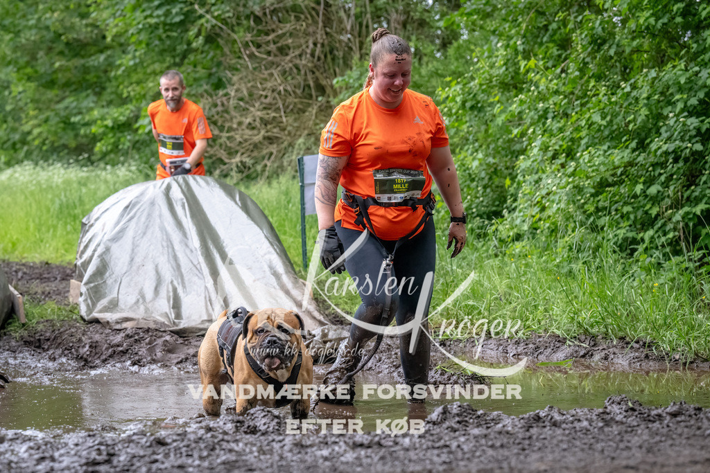 1602_ZZ91875-Bearbeitet | kk-dogfotos
