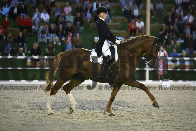 Birkhof_2024_Prfg.Nr.05_Qualifikation_iWest-Cup_Marie-Christin Kogel_Doc-Holliday 3 (11) | Alle Fotos der Reiterjournal Fotografin Doris Matthaes im Reiterjournal Online-Fotoshop. - Realisiert mit Pictrs.com