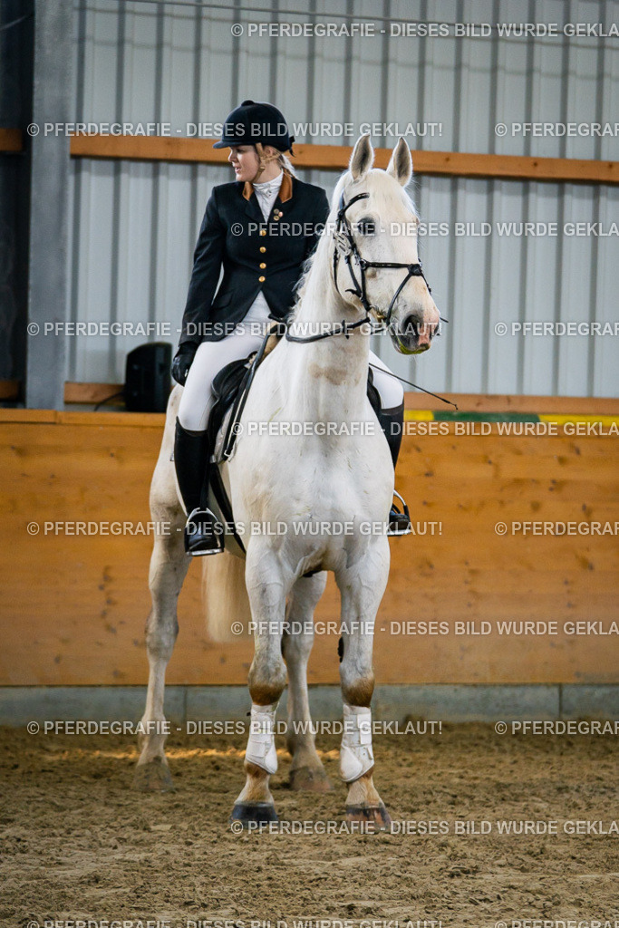 DSC00772 | Pferdegrafie