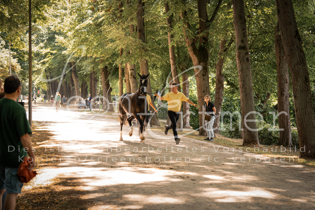 FrPfM00227 | Leoni Ertmer Photography - Realisiert mit Pictrs.com