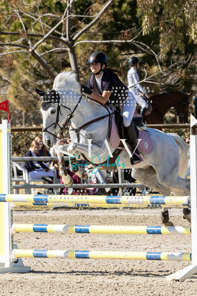 IMG_0845 | s-jay-photography - Realisiert mit Pictrs.com