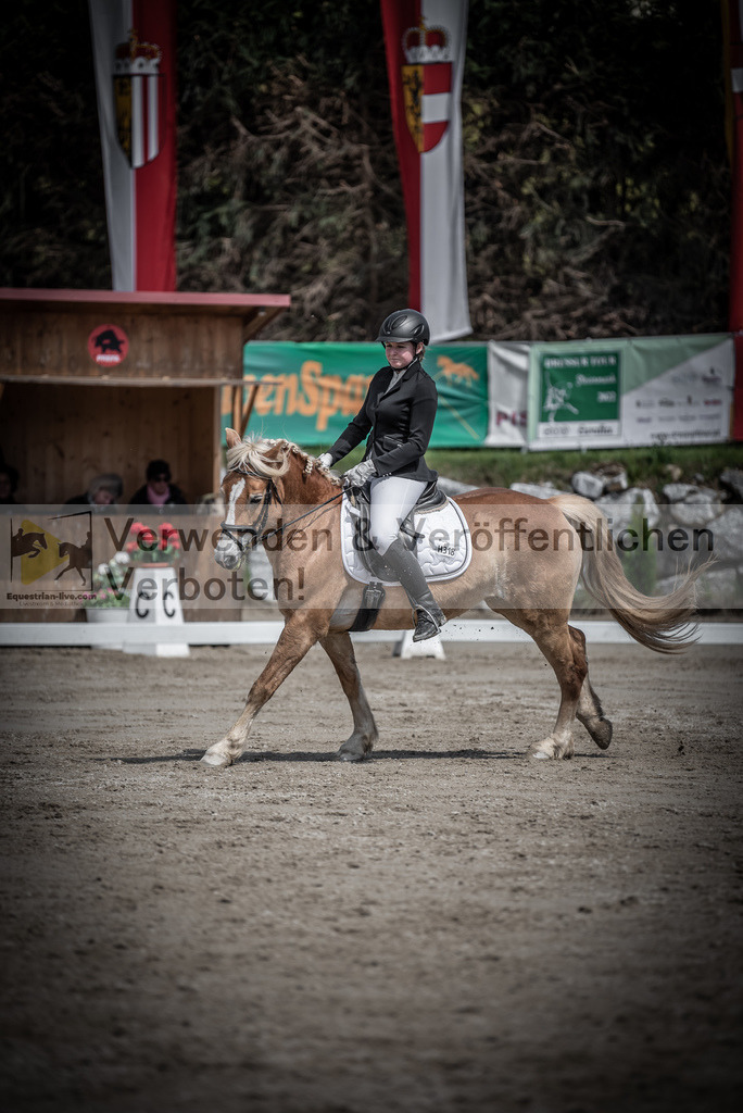 DSC_0622 | equestrian-live-com