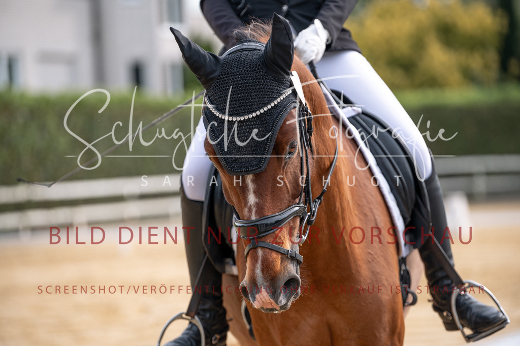 Schugtsche-Aluta25-40.DressurprfA_-107 | Schugtsche Fotografie - Realisiert mit Pictrs.com
