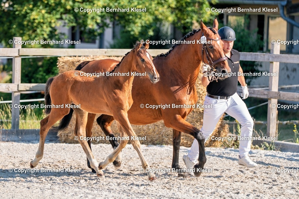 2A906091 | foto-team-bernhard - Realisiert mit Pictrs.com