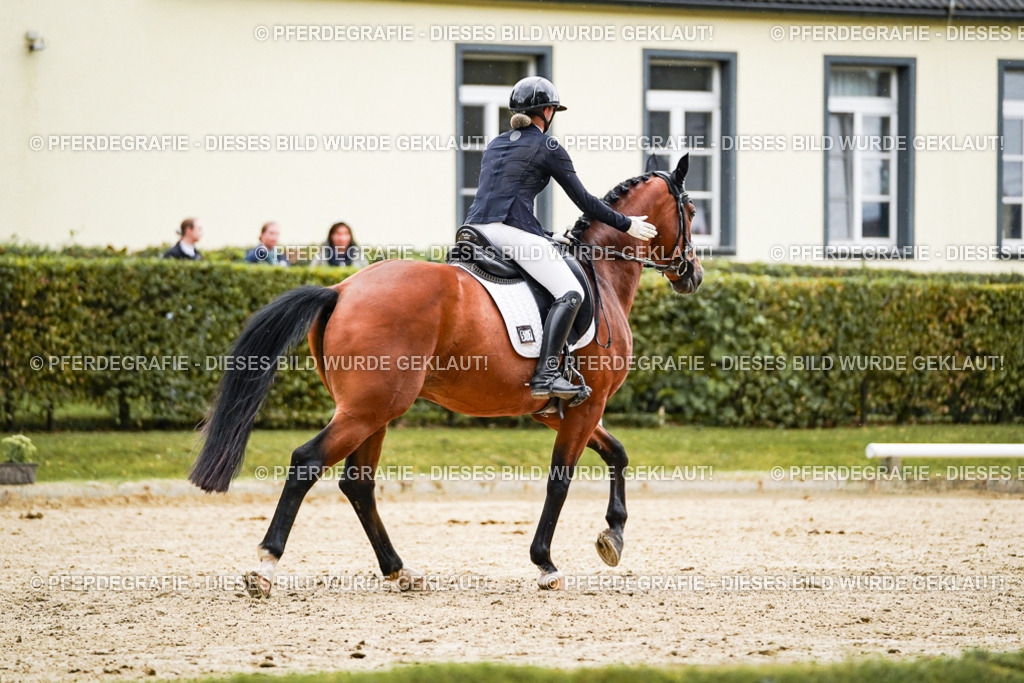 DSC07379 | Pferdegrafie