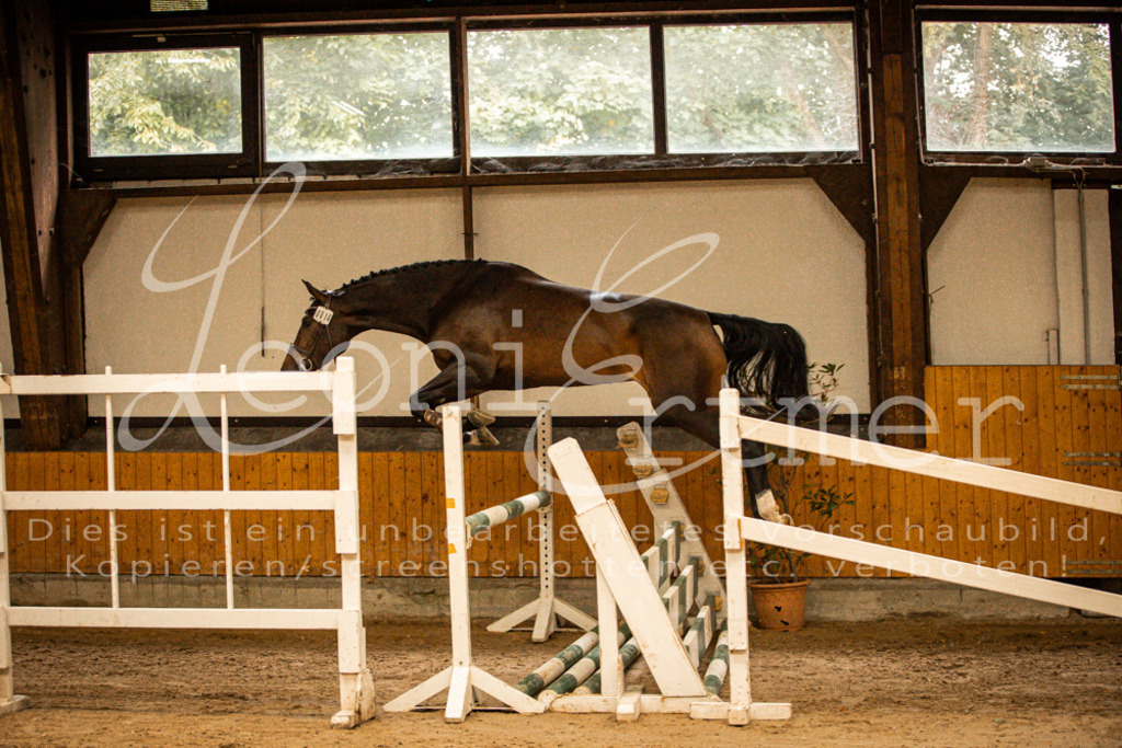 2FS_L00013 | Leoni Ertmer Photography - Realisiert mit Pictrs.com