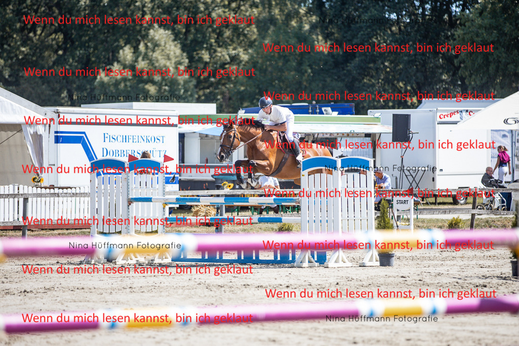 BK1A6361 | Turnierbilder Turnierfotos Nina Hüffmann Turnierfotografie Pferdefotografie Tierzeichnung Haustierzeichnung Pferdezeichnung Hundezeichnung Videograf  - Realisiert mit Pictrs.com