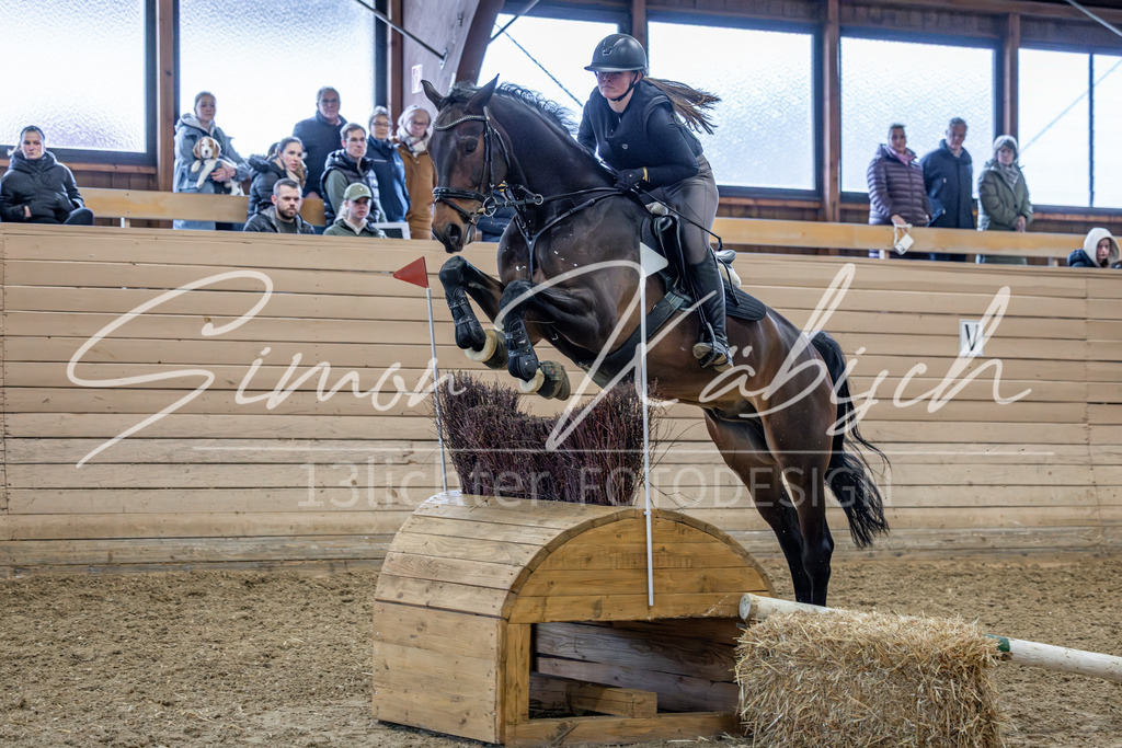 20260222-_3LI2036 | Tierfotografie Pferde, Hunde, Katzen, Haustiere.
Turnierfotografie Reitturniere, Reiten, Springreiten, Dressur in Hanau, dem Main-Kinzig-Kreis und dem Rhein-Main- Gebiet um Frankfurt