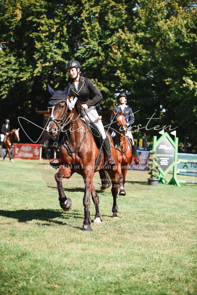 DSC_2644 | Pferde- und Turnierfotografie in Westsachsen. Pferdeportraits, Auftragszeichnungen und intuitive Kunst.