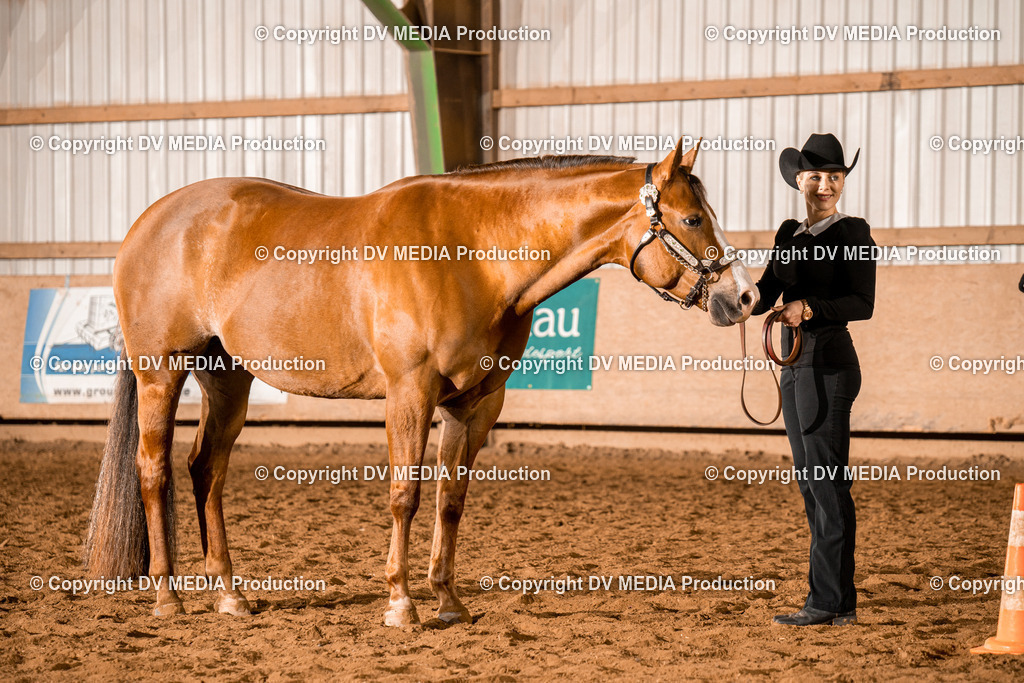 BAL01372 | dv-media-shop - Realisiert mit Pictrs.com