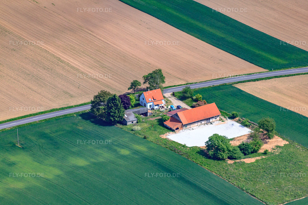 Luftbild: Einsames Haus und Pferdestall an der D244 in Salmbach im Bundesland Bas-Rhin in Frankreich. – Foto: IMG_40964(40943).jpg vom 08.05.2011 durch Werner Riehm/FLY-FOTO.de – Auflösung des Originals: 4752 x 3168 px