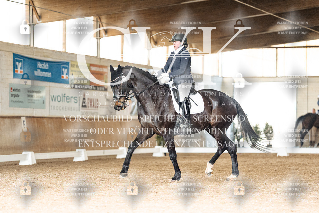 CK902273 | Turnierfotografie Pferdefotografie Trier Rheinland-Pfalz Pferdesport Reitsport Tierfotografie Sportfotografie Pferdevideo Pferdevideografie Equestrianvideography equestrianphotography  - Realisiert mit Pictrs.com
