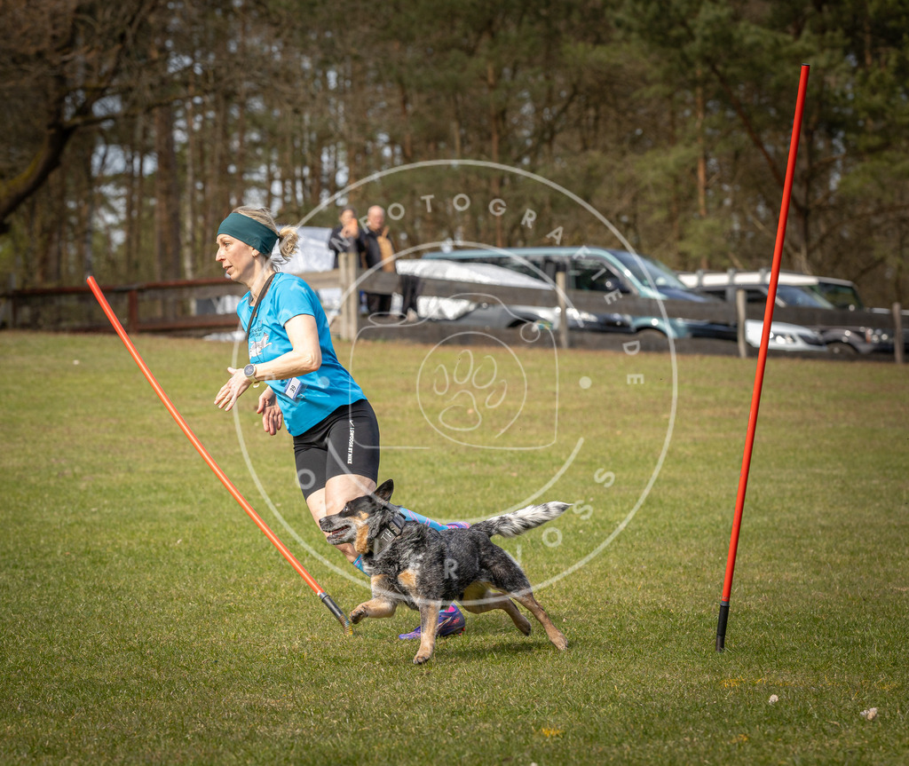 Pfotenfotografie_DV3A7587 | Hundefotografie, Tierfotograf, Pfotenfotografie, Fotoshooting Hund, Hunde Portrait, Hundesport, Hundeportraits, Heideshooting, Hunde, Sportfotograf, Hundefotograf, Turnierhundsport, THS,  - Realisiert mit Pictrs.com