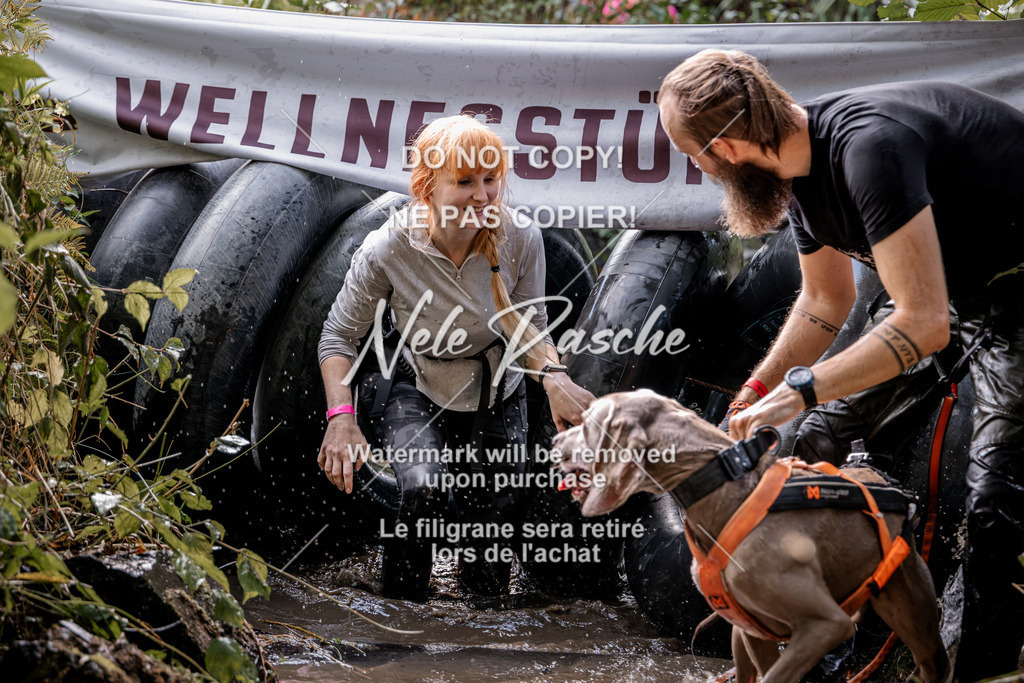nelerasche_Hunsrück2026_Sa1400-1500_292 | nelerasche
