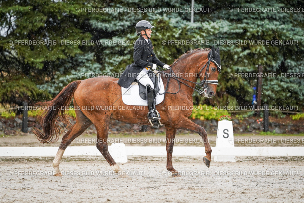 DSC09092 | Pferdegrafie