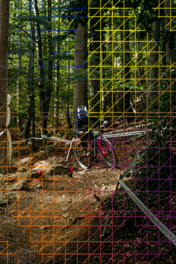 PAE-1800 | Einzigartige Fotokunst für dein Zuhause: Entdecke hochwertige Wandbilder, edle Prints und emotionale Motive von Wildlife, Natur und Landschaften - Realisiert mit Pictrs.com