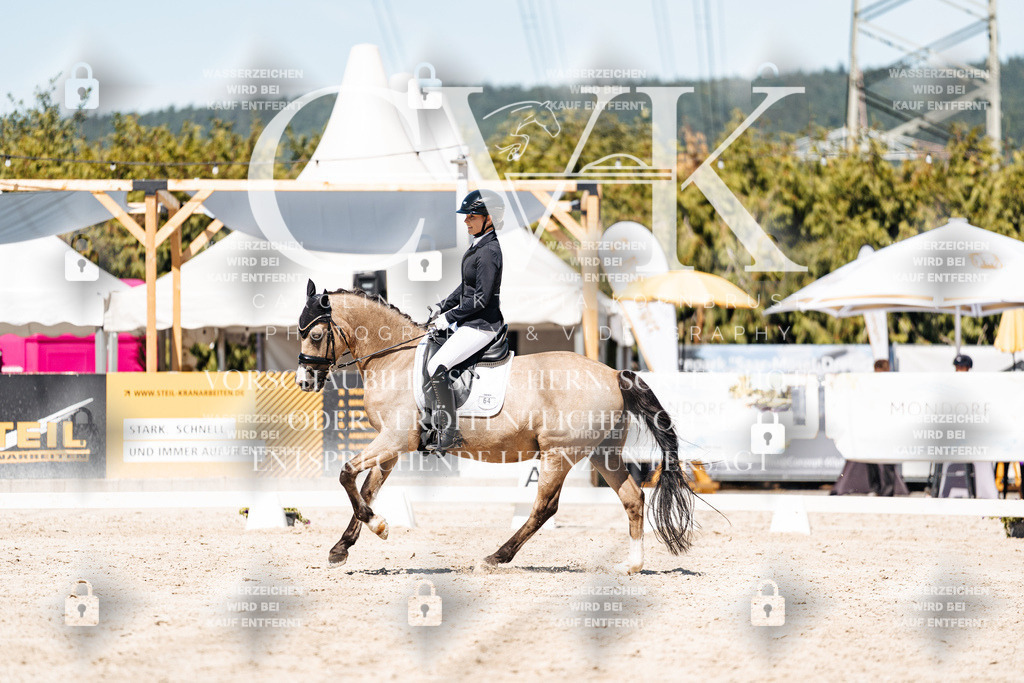 CK909900 | Turnierfotografie Pferdefotografie Trier Rheinland-Pfalz Pferdesport Reitsport Tierfotografie Sportfotografie Pferdevideo Pferdevideografie Equestrianvideography equestrianphotography  - Realisiert mit Pictrs.com
