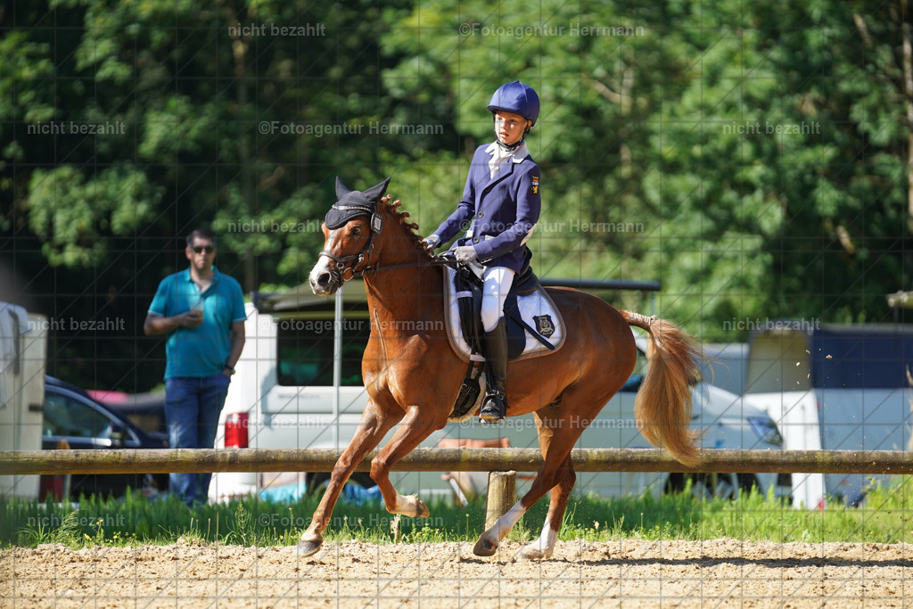20240706-FAH04617 | Grafing Turnierfotos, Reitverein Ebersberg, Turnierfotografen Bayern, reitsportbilder, Pferdefotograf, reitsportfotograf, Sportbilder, Reitsportfotografie, Fotoagentur Herrmann, Turnierfotograf