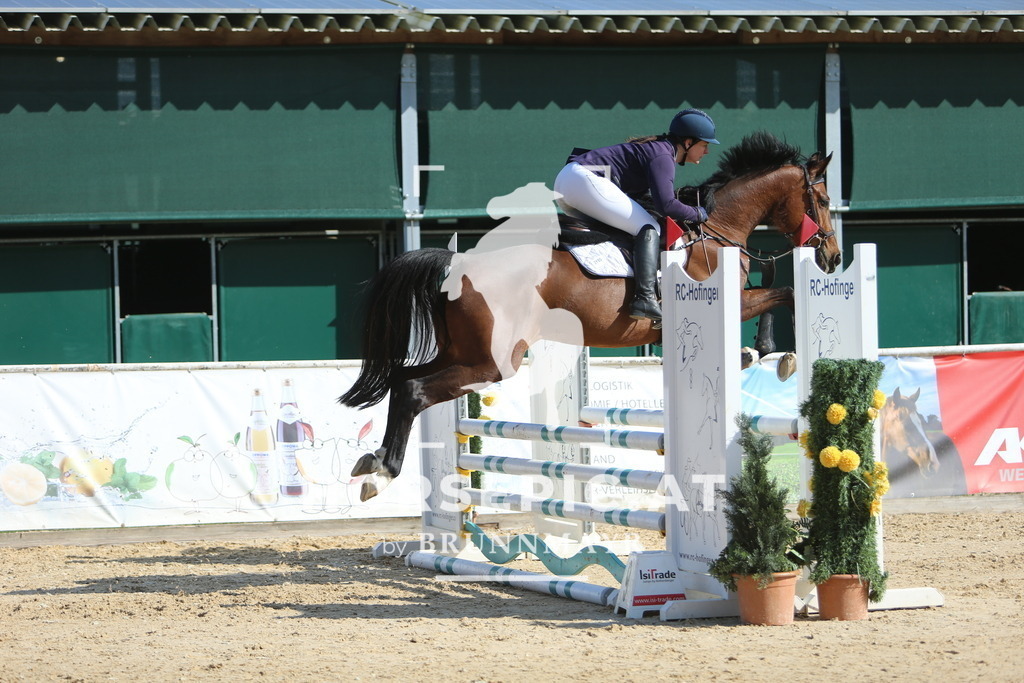 DL2Q8262 | Willkommen bei Brunnmayr - Design & Fotografie – Ihrem Spezialisten für Reitturniere und Pferdeveranstaltungen in Oberösterreich, Salzburg und Bayern! Seit über 17 Jahren sind wir leidenschaftlich dabei.