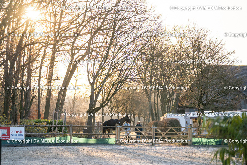 DSC-285 | dv-media-shop - Realisiert mit Pictrs.com