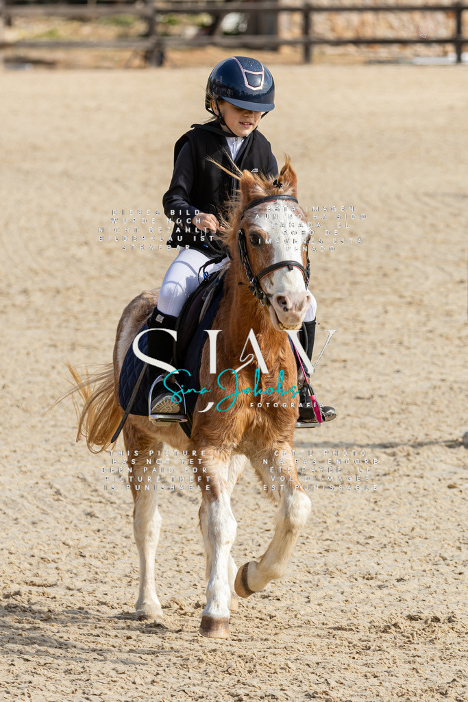 IMG_4298 | s-jay-photography - Realisiert mit Pictrs.com