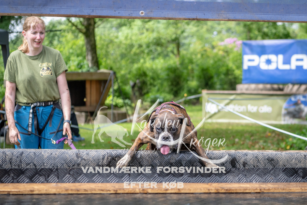 1055_ZZ91989 | kk-dogfotos