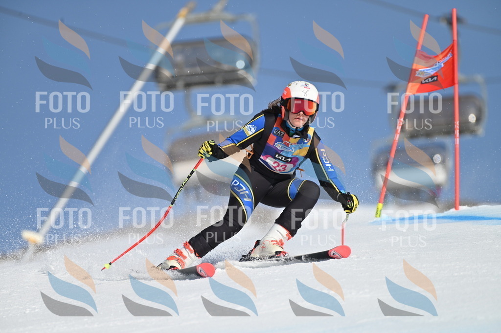 BGV_7999 | holidayphoto