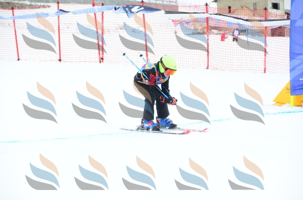 DSC_1787 | holidayphoto