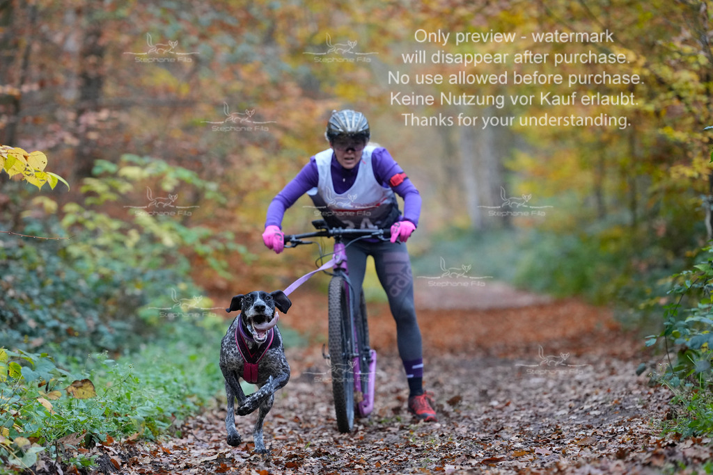 Scooter_So-12 | stephaniefillaphotographie - Realisiert mit Pictrs.com