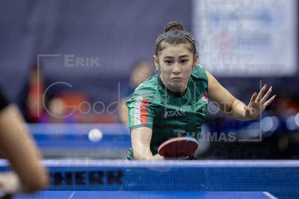 European_Championships_2024-10-16_012 | good-photos - Realisiert mit Pictrs.com