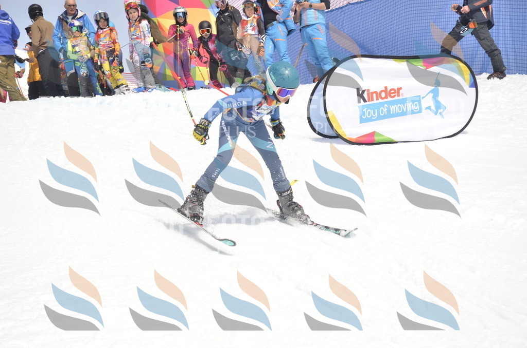 _ELE8821 | holidayphoto