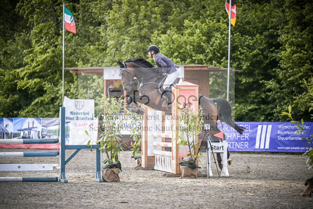 DOS_5387 | Entdecke hochwertige Reitturnierfotos von Foto Oger. Professionell, emotional und authentisch – jetzt Lieblingsmomente im Shop bestellen. - Realisiert mit Pictrs.com