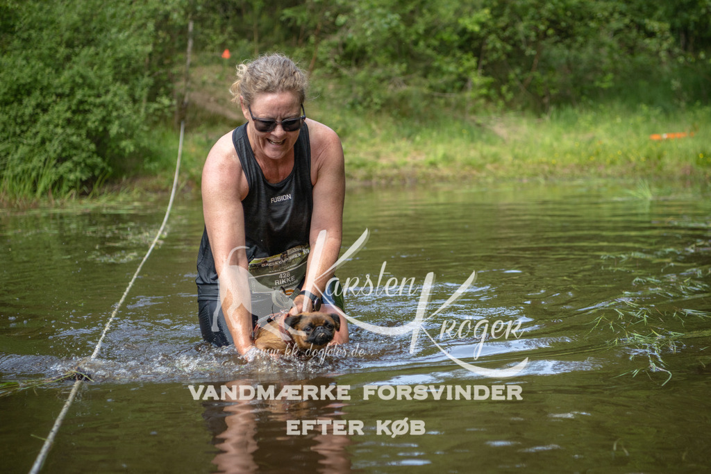 1253DKK993539 | kk-dogfotos