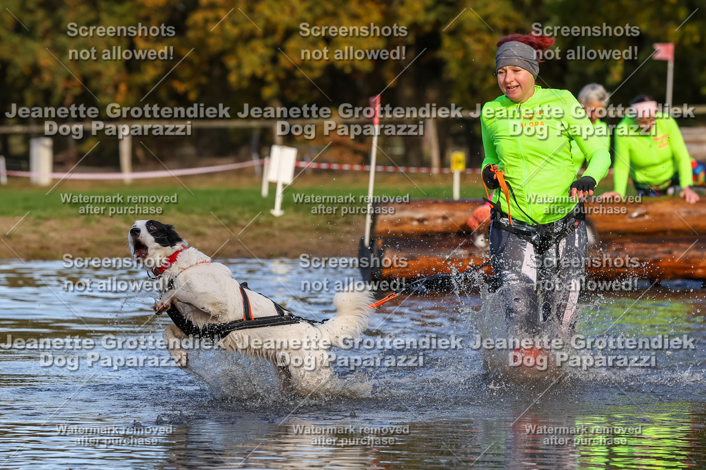 Dog Paparazzi - Strongdog 10-25-8502 | Dog Paparazzi Jeanette Grottendiek Fotografie & Videografie - Realisiert mit Pictrs.com