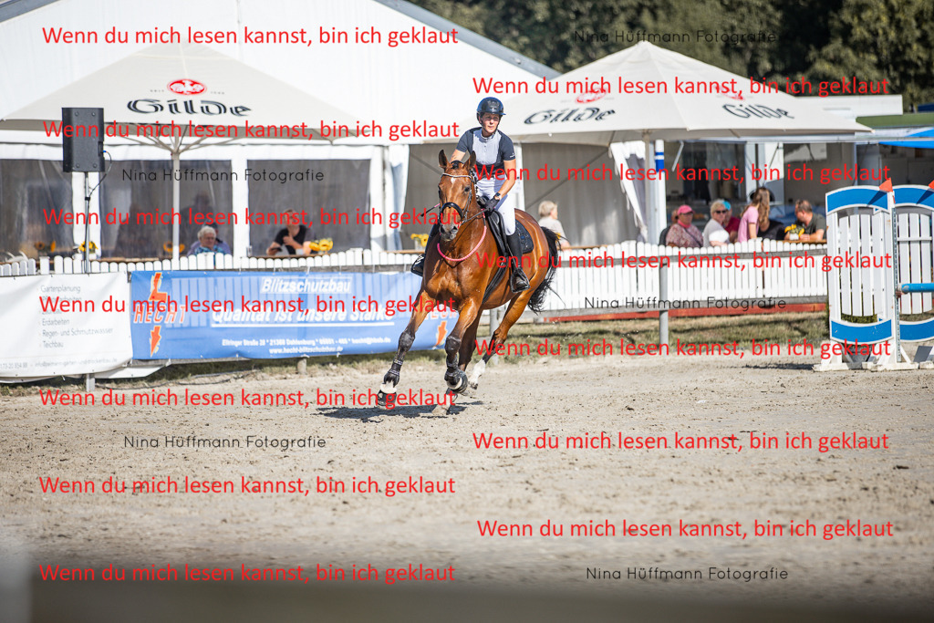 BK1A7334 | Turnierbilder Turnierfotos Nina Hüffmann Turnierfotografie Pferdefotografie Tierzeichnung Haustierzeichnung Pferdezeichnung Hundezeichnung Videograf  - Realisiert mit Pictrs.com