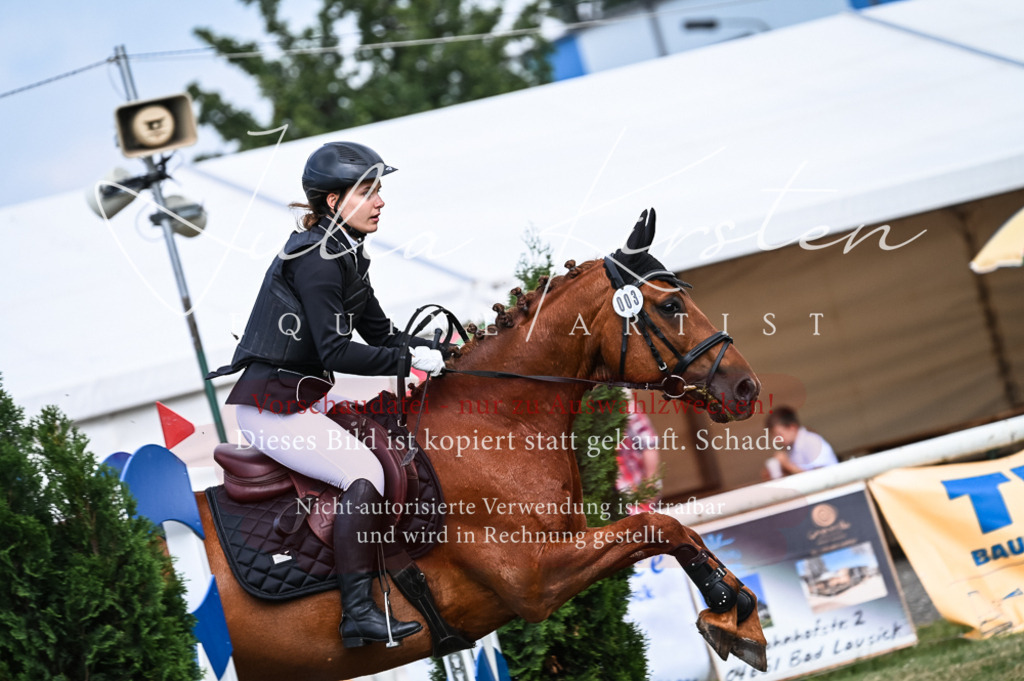 DSC_8192 | Pferde- und Turnierfotografie in Westsachsen. Pferdeportraits, Auftragszeichnungen und intuitive Kunst.